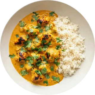 Chicken tikka masala with rice